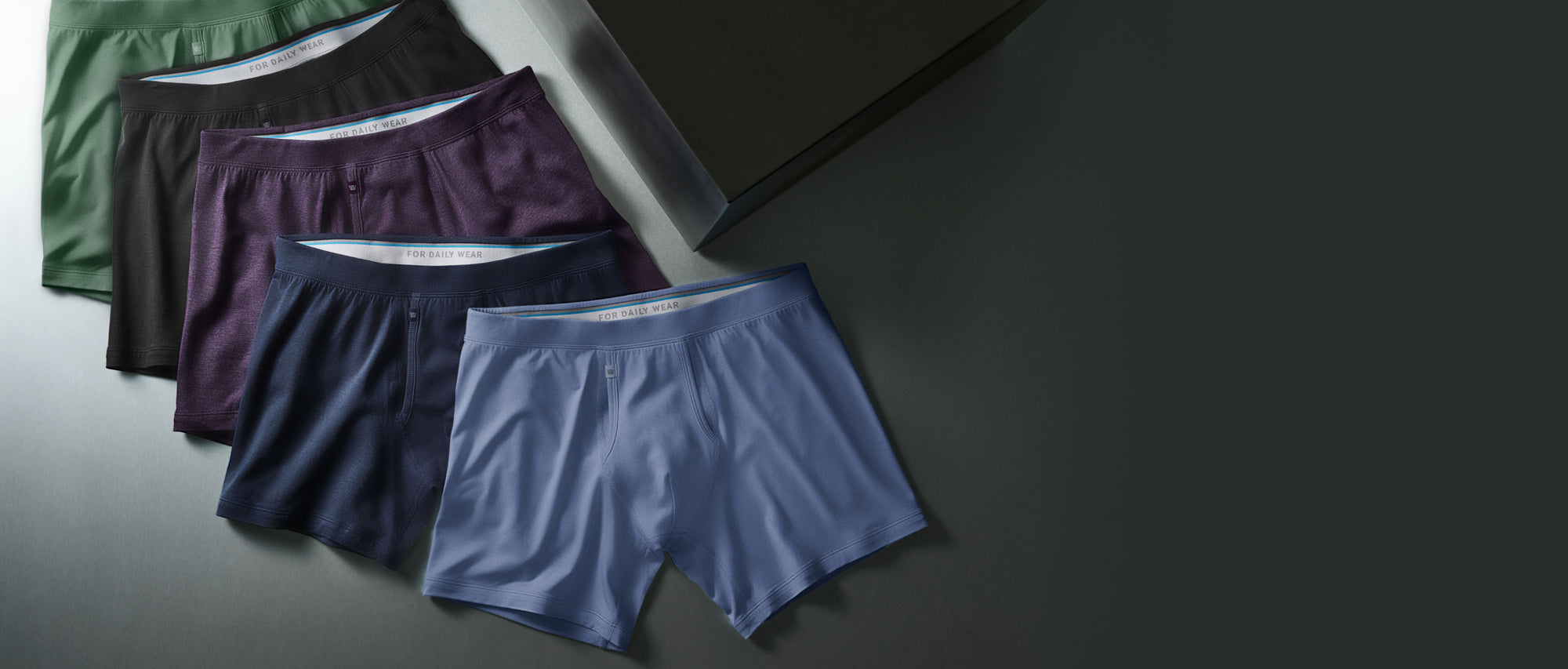 Laydowns of 5 SILVER boxer briefs