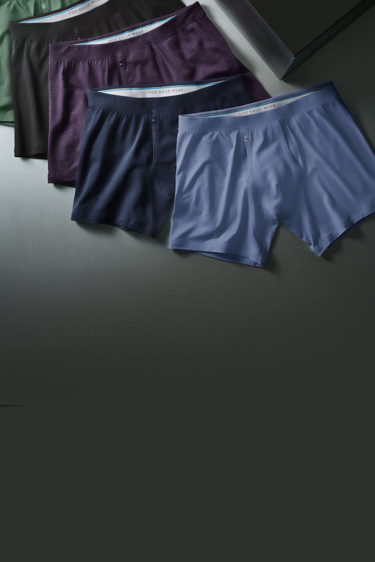 Laydowns of 5 SILVER boxer briefs