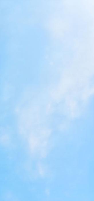 white sky background