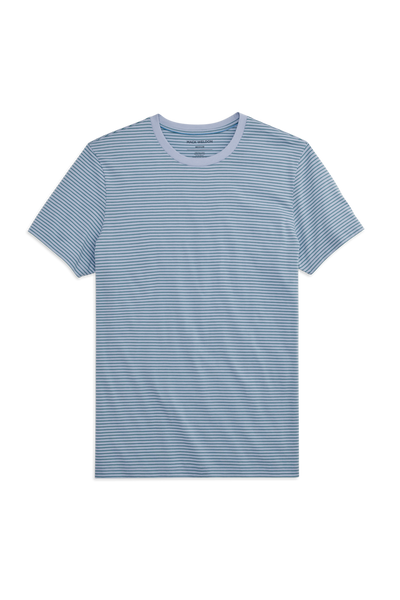 Front view of Pima Crew Neck T-shirt in First Frost Agave / Pinpoint Stripe