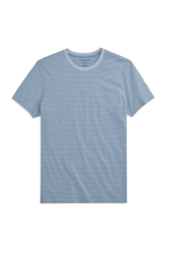 Front view of Pima Crew Neck T-shirt in First Frost Agave / Pinpoint Stripe
