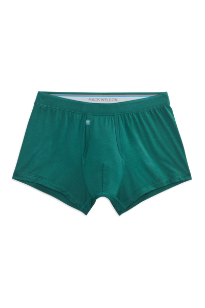 Front view of Silver HD Trunk in Forest Biome