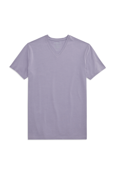 Front view of Silver V Neck T-shirt in Daybreak