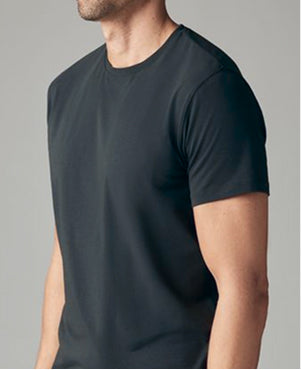 Man wearing Silver Crew Neck T-Shirt